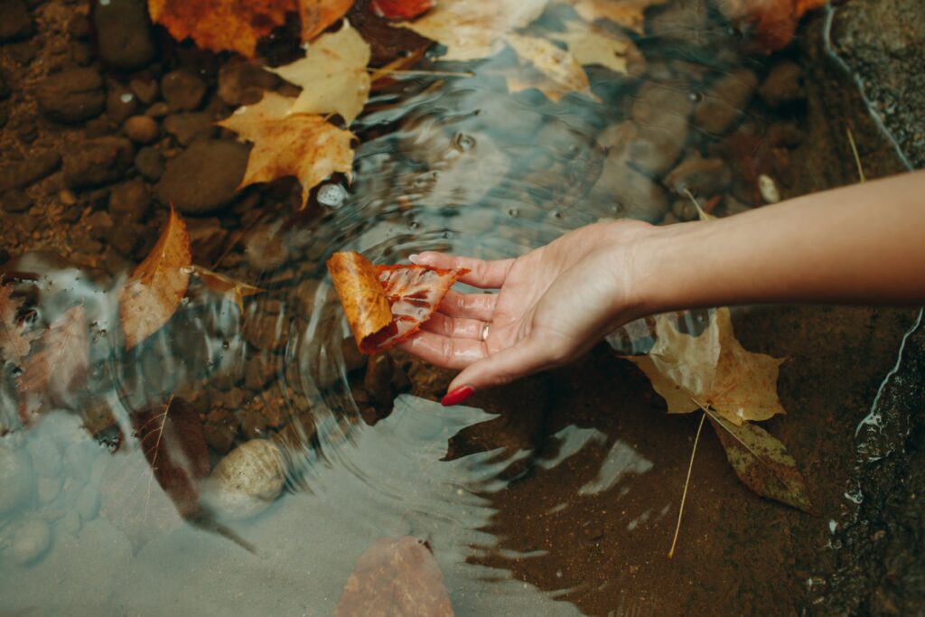 Female hand holding orange maple leaves on water background.